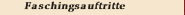Faschingsauftritte